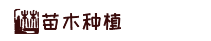 bsports(中国)B—sports登录入口